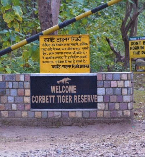 Corbett National Park