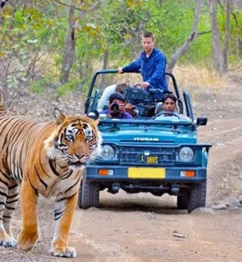 jeep-safari-jim-corbett